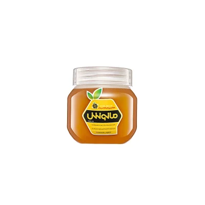 معجون رویال ژلی و عسل طبیعی 170 گرمی مانوش