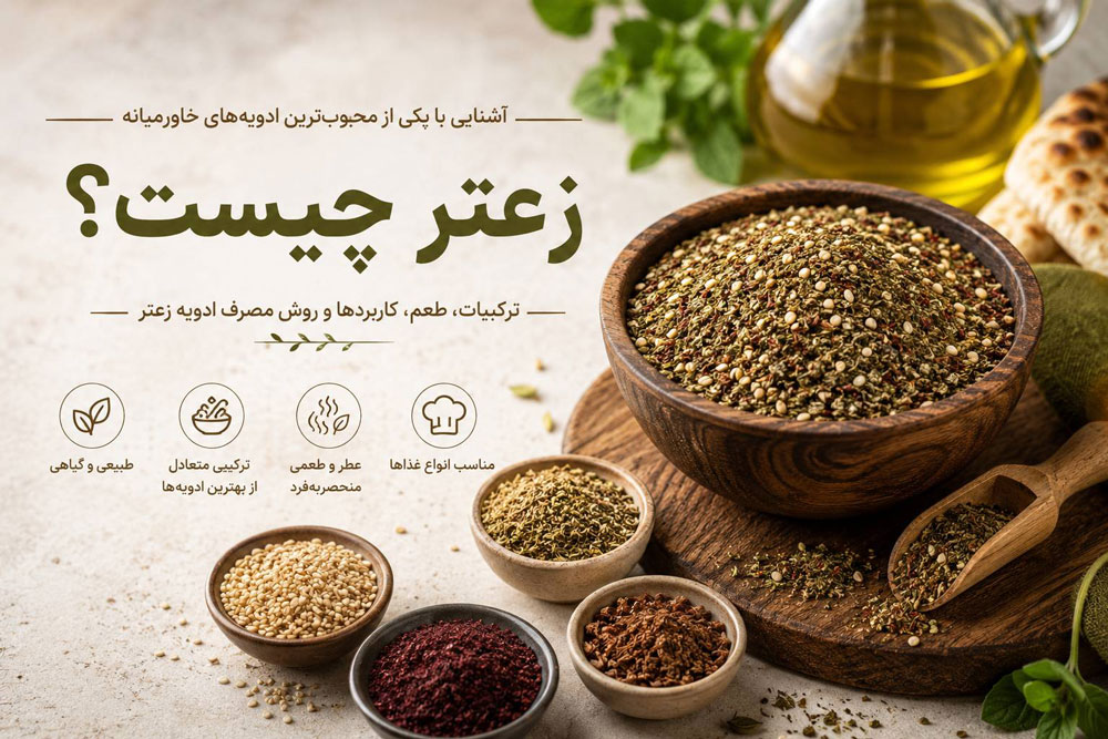 ادویه زعتر چیست؟ آشنایی با ترکیبات، کاربردها، روش مصرف و نحوه نگهداری ادویه زعتر مانوش